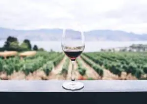 Wine Varieties and Regions