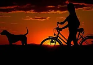 Alternative Fossil Fuels