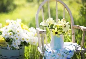 Garden Aesthetics Guide