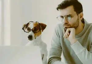 AI document translations