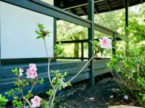 Aesthetics Garden Guide