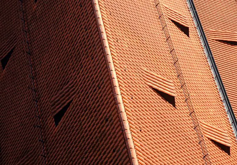 Top Roofing Tips And Tricks Every Homeowner Should Know