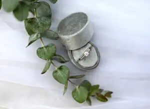 Planning Proposal tips