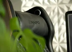 Perfect Massage Chair