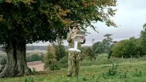 Tom Did It single Stupid Love