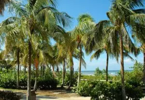Reasons Travel Key West