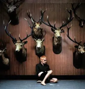 Sega Bodega single Deer Teeth