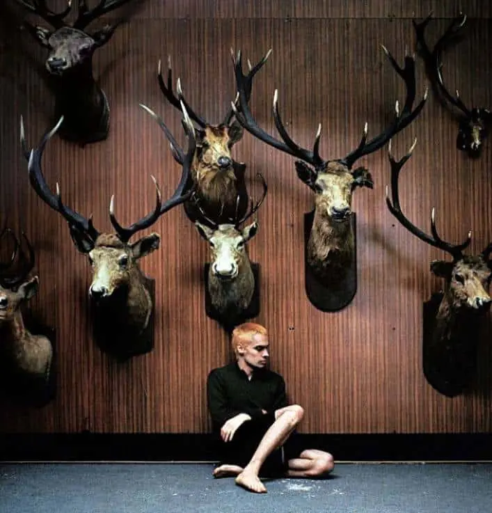 Sega Bodega BBC 6Music show & single ‘Deer Teeth’