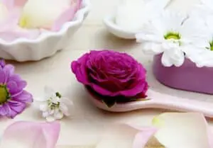 fresh Radiant: Beauty