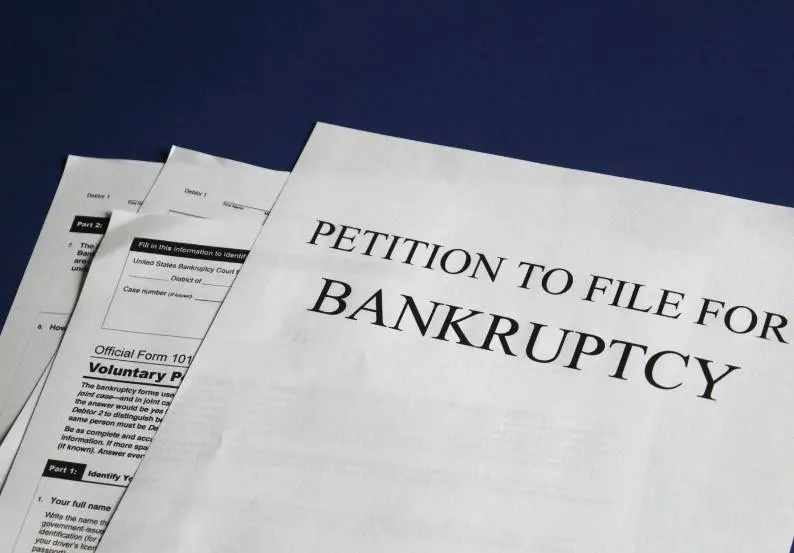Navigate Bankruptcy Process