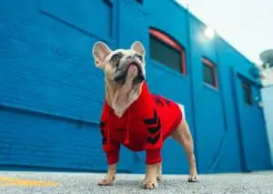 Kylie Jenner Baggy Hoodie