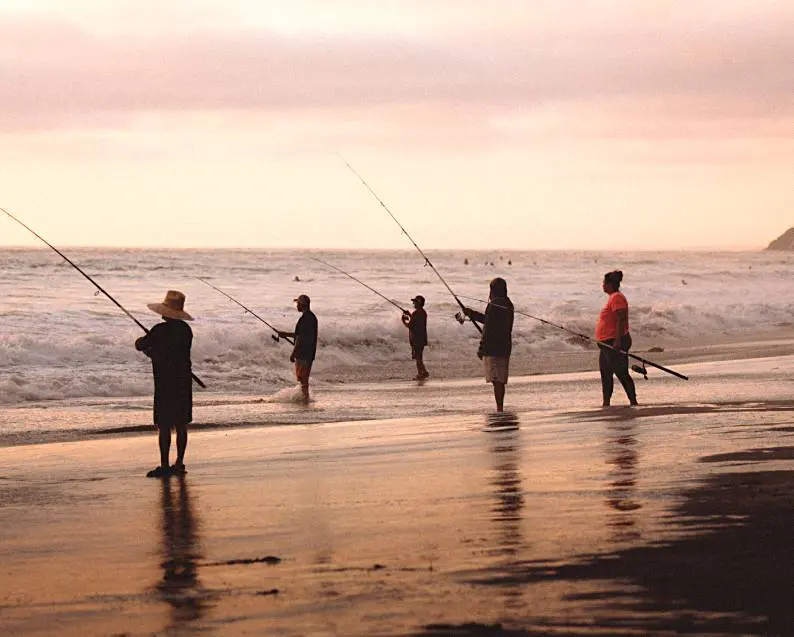 Guide Saltwater Fishing