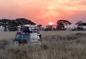 Guide Wildlife Holidays