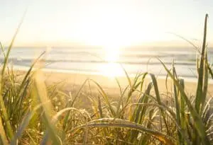 Redefining Coastal Fashion