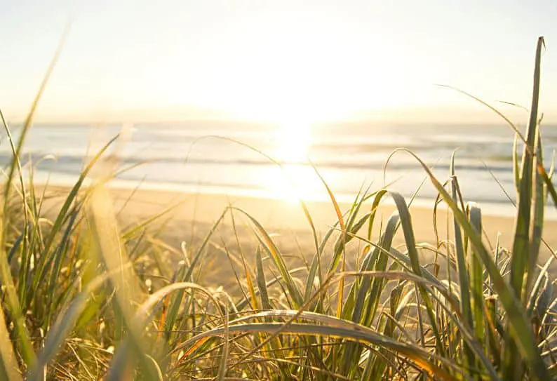 Redefining Coastal Fashion