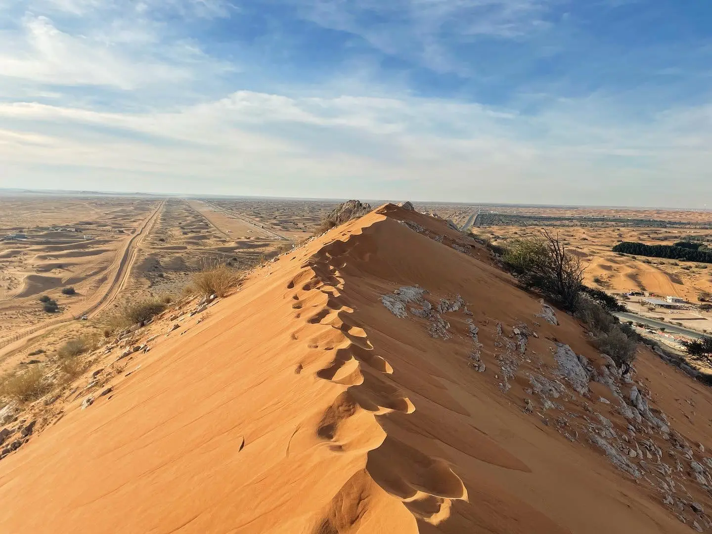 ‘It’s life-changing’ One woman’s journey to leading wildlife conservation expeditions