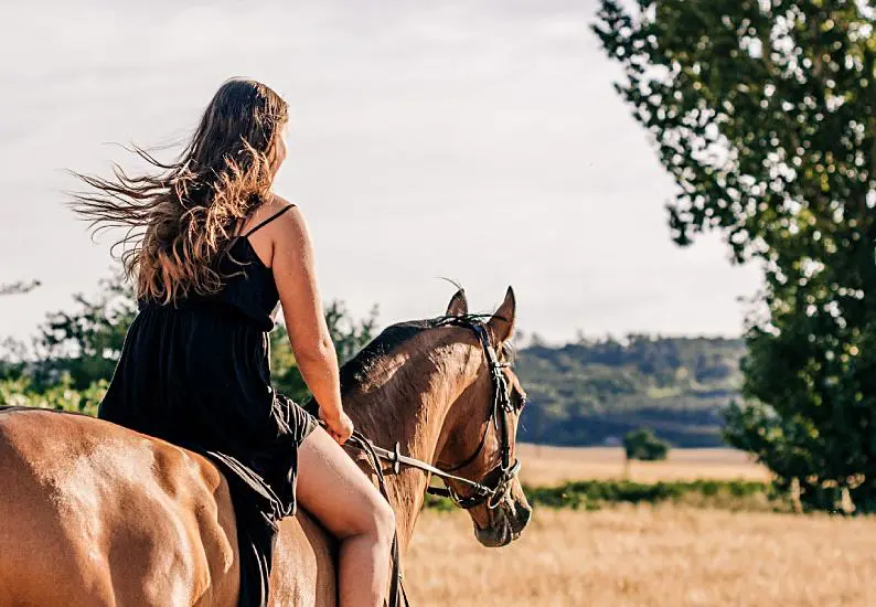 Becoming a Better Horseback Rider: Critical Tips You Will Need