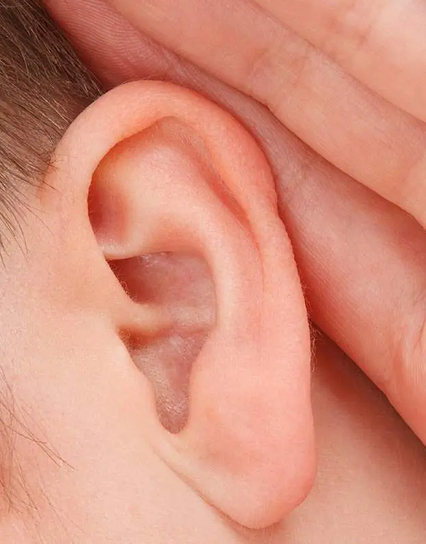 Common Ear Problems