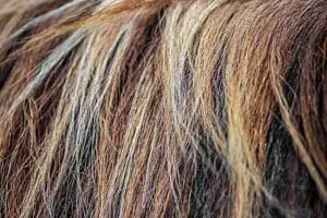 Understanding Hair Loss: Solutions