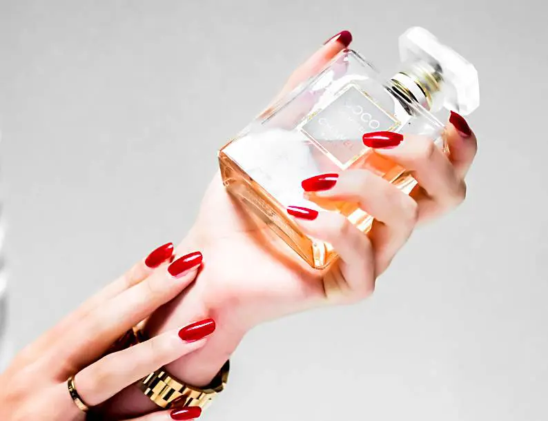 The Invisible Signature: The Power of Scent