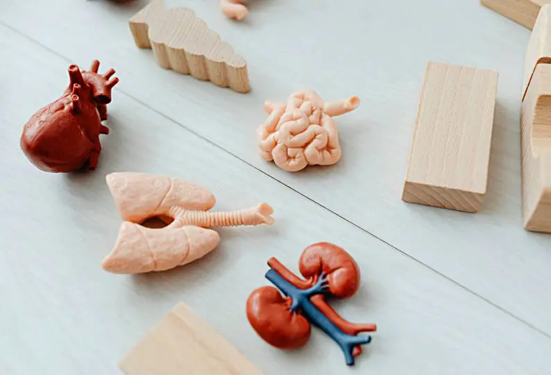 From pain to possibility: The role of neuromusculoskeletal care 