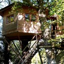 extraordinary places to stay - tree house