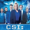 CSI Series 1 DVD boxset, CSI Finale