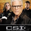 CSI Series 15 DVD boxset, CSI Finale