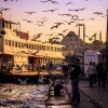 Bosphorus ferry