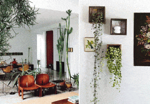 home improvements on a budget