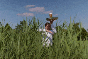 Holland to Manchester