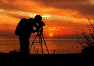 independent photographer