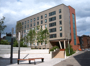 university experience