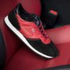 trainer collaboration, lexus trainers, walsh trainers