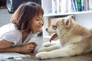preparing your home for a pet