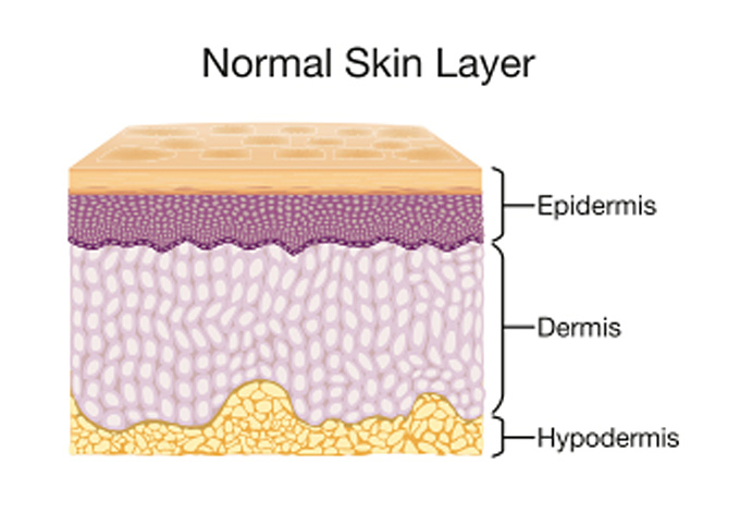 skin care normal skin