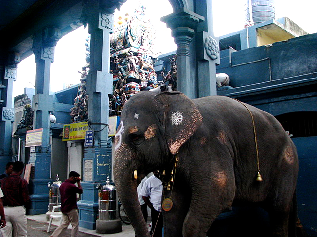 trip to Pondicherry