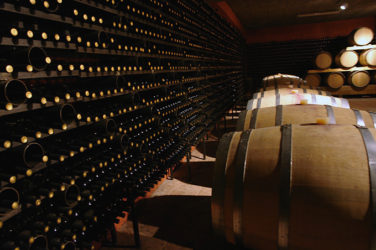 Masseto Winery