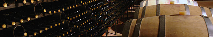 Masseto Winery