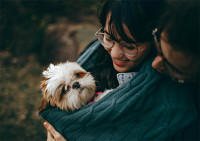 Traveling With Your Pet