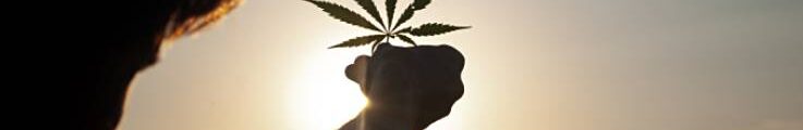 Legal Marijuana Missouri