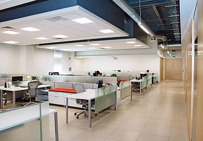 Office Environment Employee Well-Being