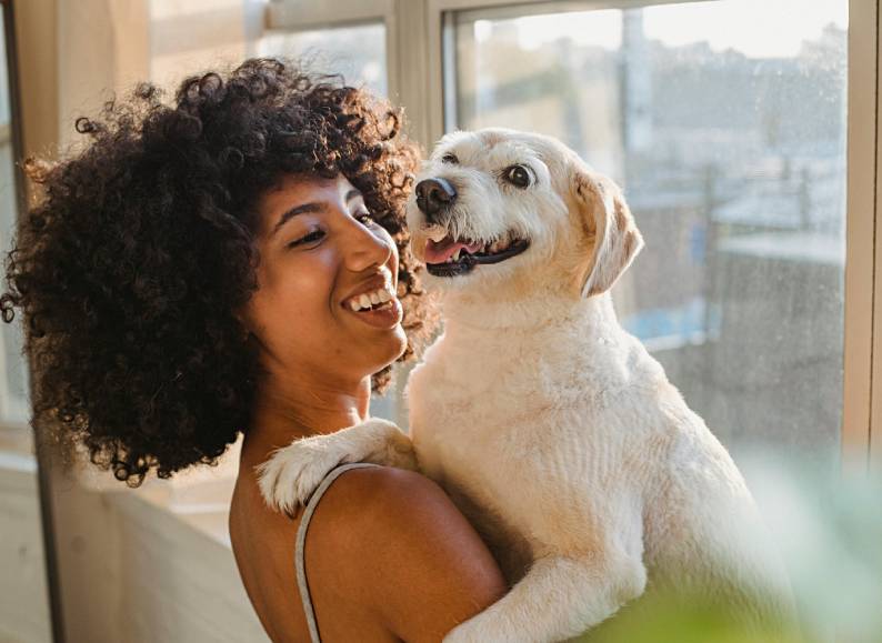 Your Dog Happier Life