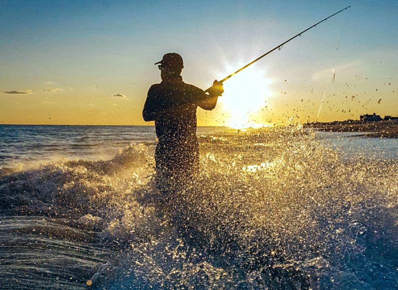 Reel 'Em In: A Guide To Mastering Saltwater Fishing – FLUX MAGAZINE