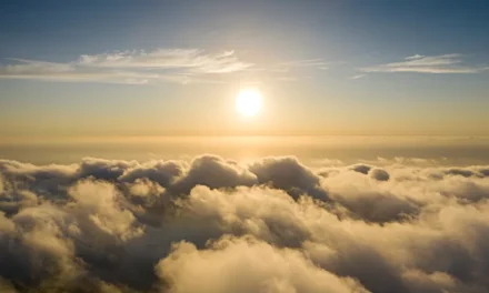 How to Make Your End-of-Life Arrangements