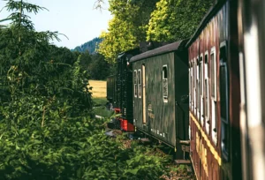 Mediterranean Why Valencia