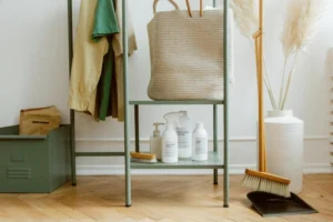 Exploring Sustainable Choices