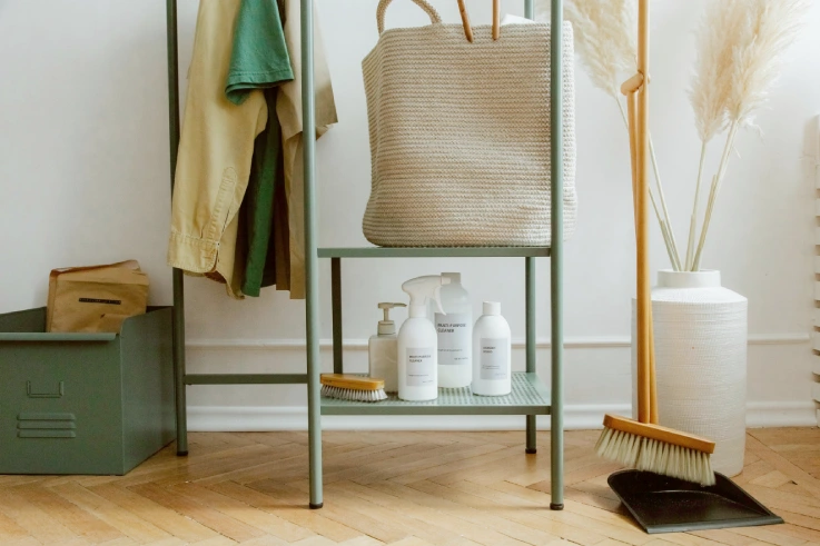 Exploring Sustainable Choices