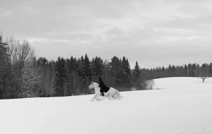 Mother Vera Interview Documentary