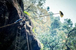 Healing Himalayan Mad Honey